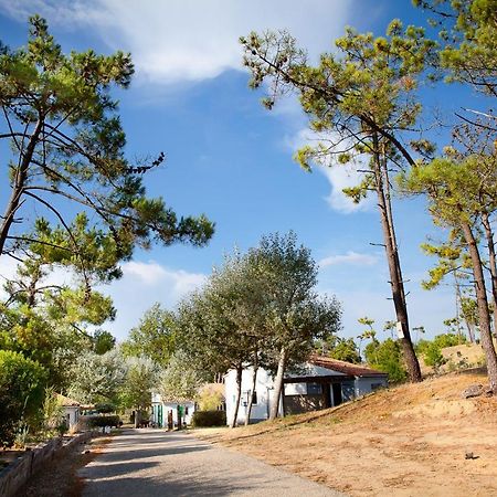 Village Vacances Le Petit Bec Saint-Hilaire-de-Riez Exteriör bild